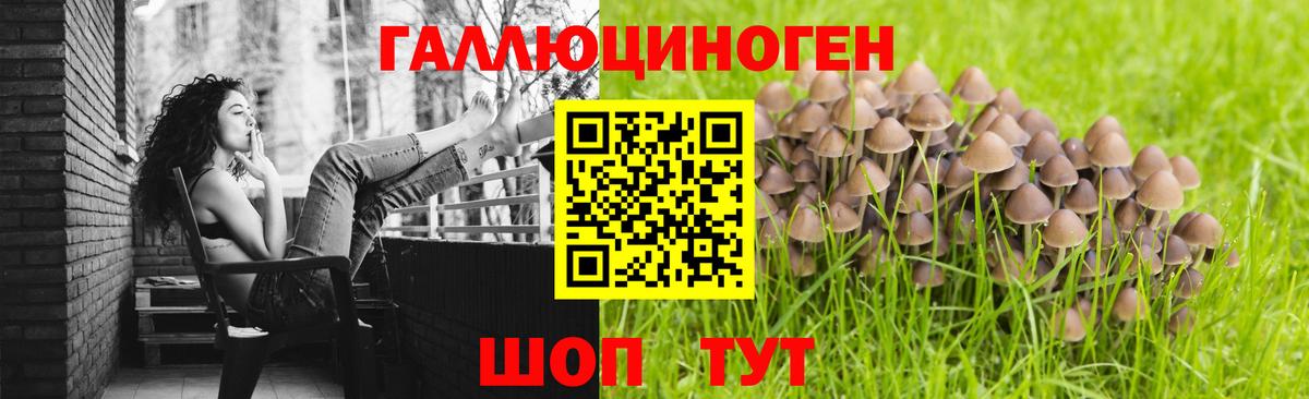 Галлюциногенные грибы ЛСД Новокуйбышевск
